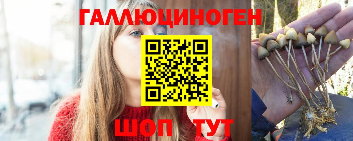 Псилоцибиновые грибы GOLDEN TEACHER Ярославль